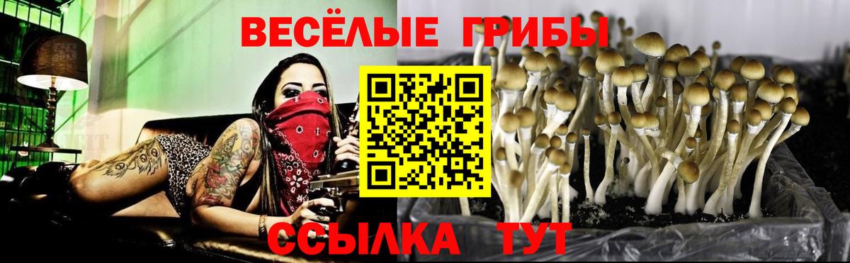 Галлюциногенные грибы Cubensis Нарткала