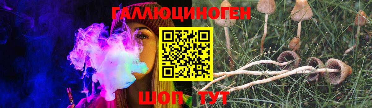 Псилоцибиновые грибы MAGIC MUSHROOMS  Вход с VPN  Нарткала 